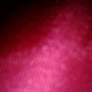 Meet your Posher, Nereyda